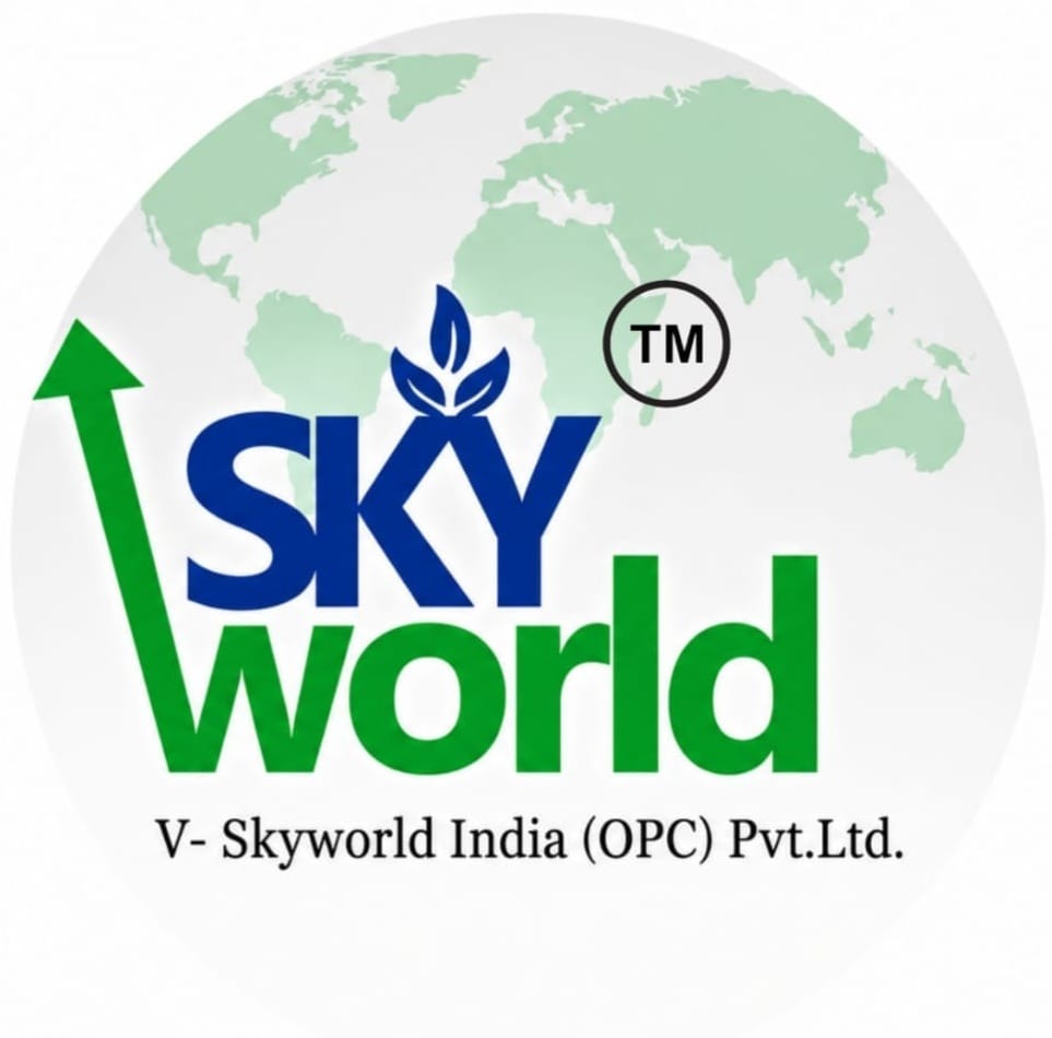 V-Skyworld India